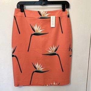 Ann Taylor Factory Pencil Skirt, Size 2 - New With Tags